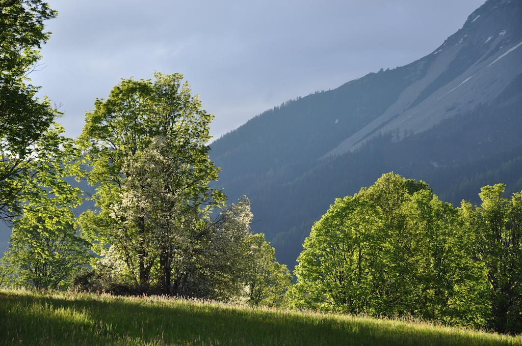 Apartmenthaus Dornroeschen Ramsau am Dachstein Eksteriør bilde